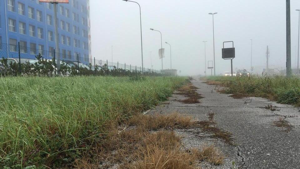 La pista ciclabile che sembra un orto