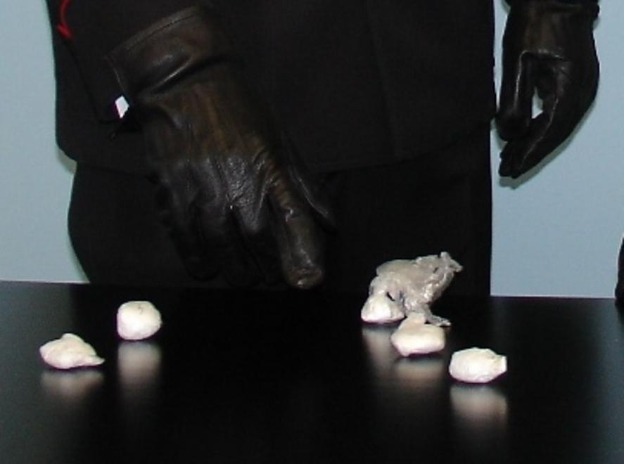 Spacciano coca in pineta: blitz dei carabinieri 