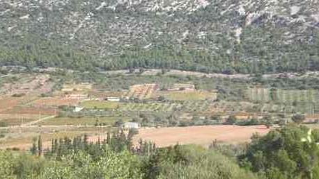 Finanziamenti della Regione in arrivo per la cura del verde