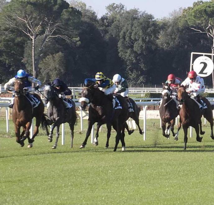 Capodanno in pista Domani si corre sul prato degli Escoli 