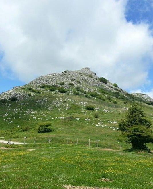 Geotermia nell’eden Dopo le polemiche la Regione rassicura
