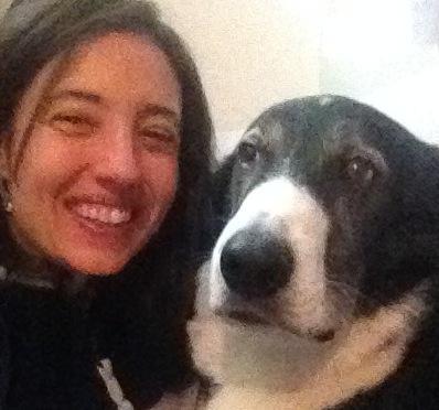 Cane avvelenato muore in poche ore