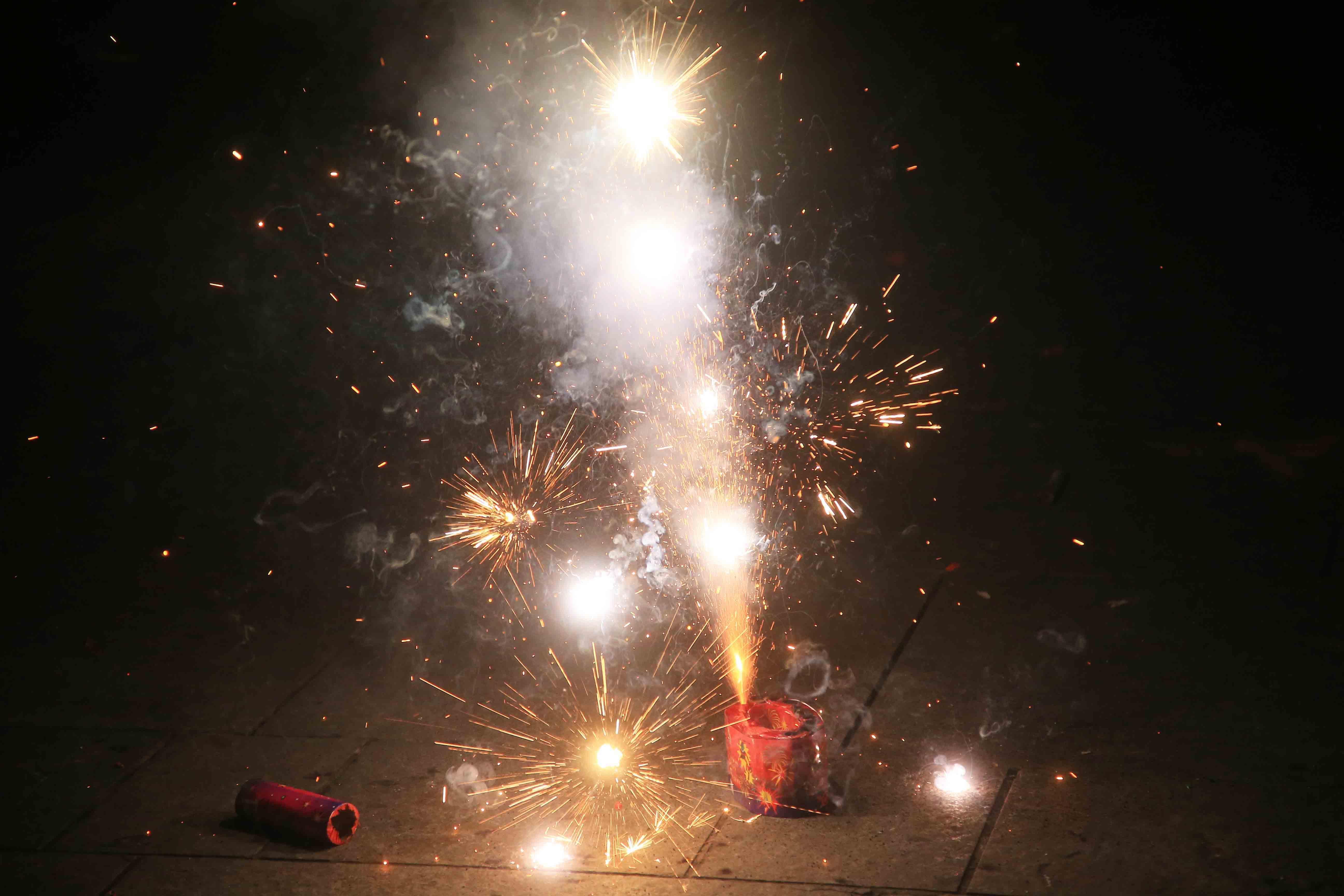 Botti di Capodanno, appelli per ritrovare i cani smarriti 