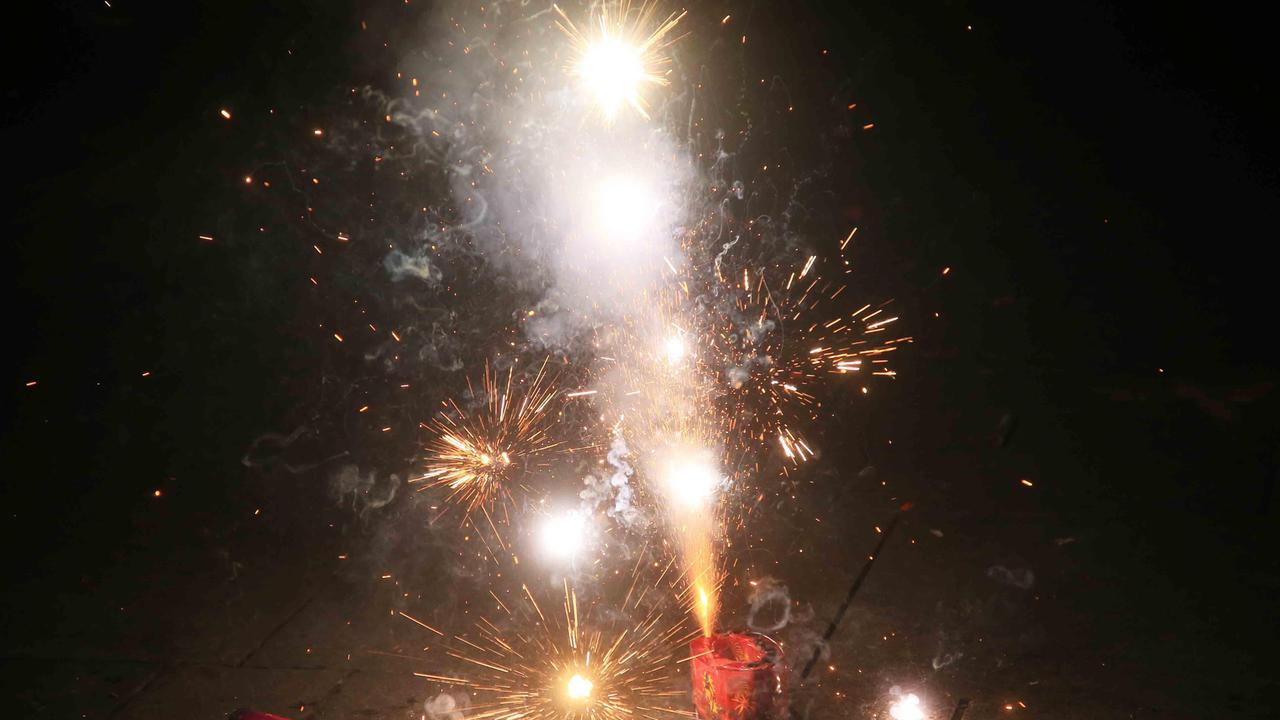 Botti di Capodanno, appelli per ritrovare i cani smarriti