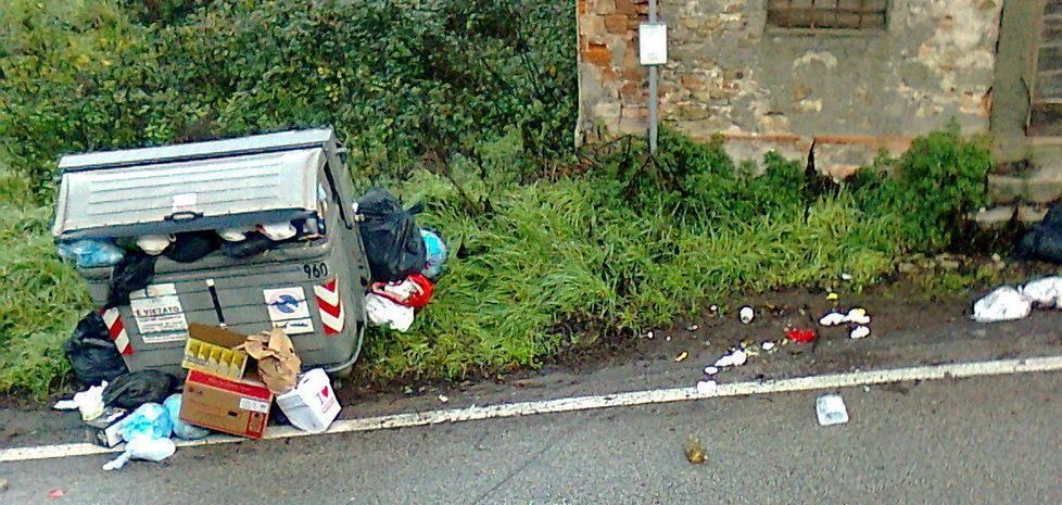 Cassonetto-discarica sulla Sarzanese 