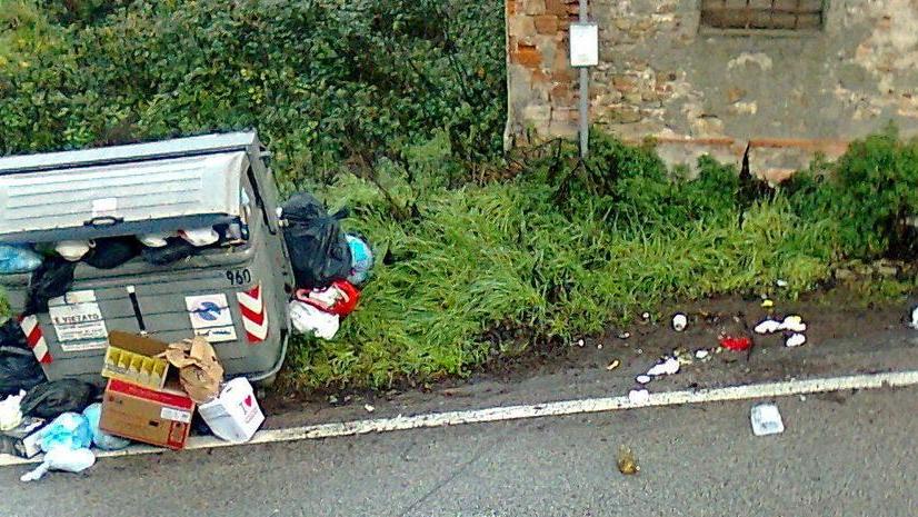 Cassonetto-discarica sulla Sarzanese