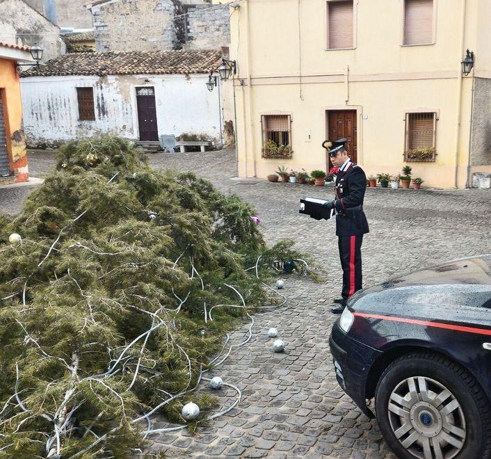 Lula, l’albero di Natale abbattuto con la motosega dai vandali