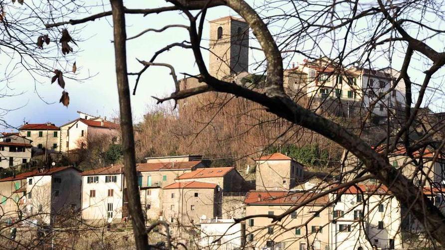 Piteglio, cento ettari per il Progetto Bosco