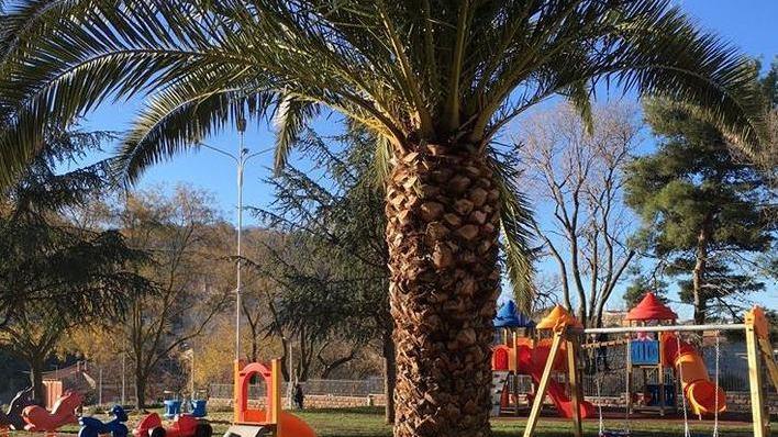 Bonorva si regala un parco giochi con alberi e panchine 