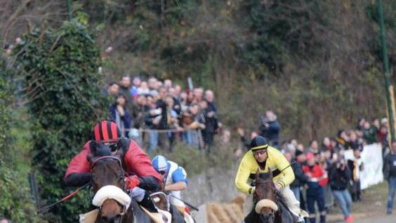 Una mostra sulla storia del Palio di Buti