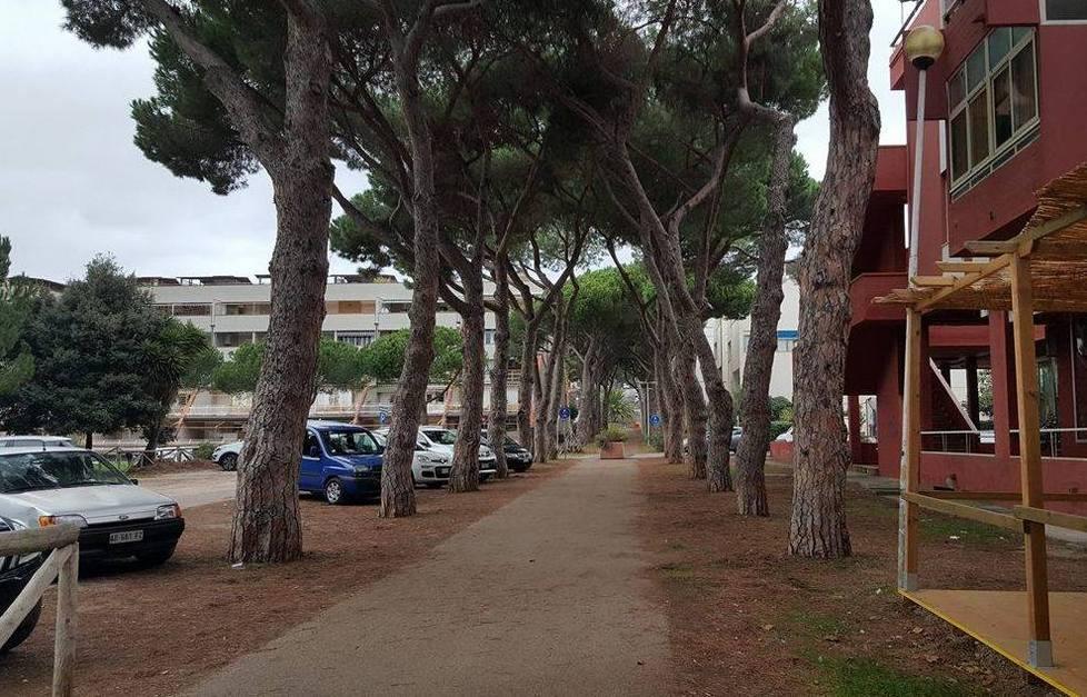 Blackout improvvisi e lampioni rotti Segnalazioni on line