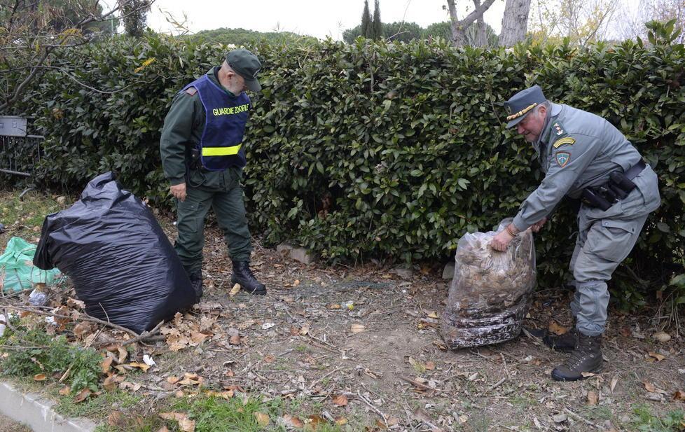 «Avvelenati due cani»: giallo al parco Giotto 