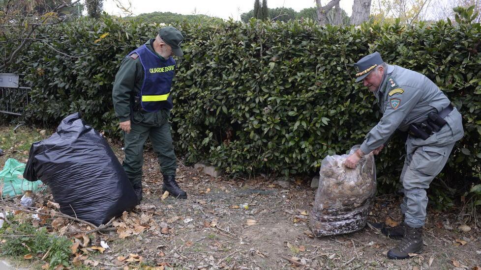 «Avvelenati due cani»: giallo al parco Giotto