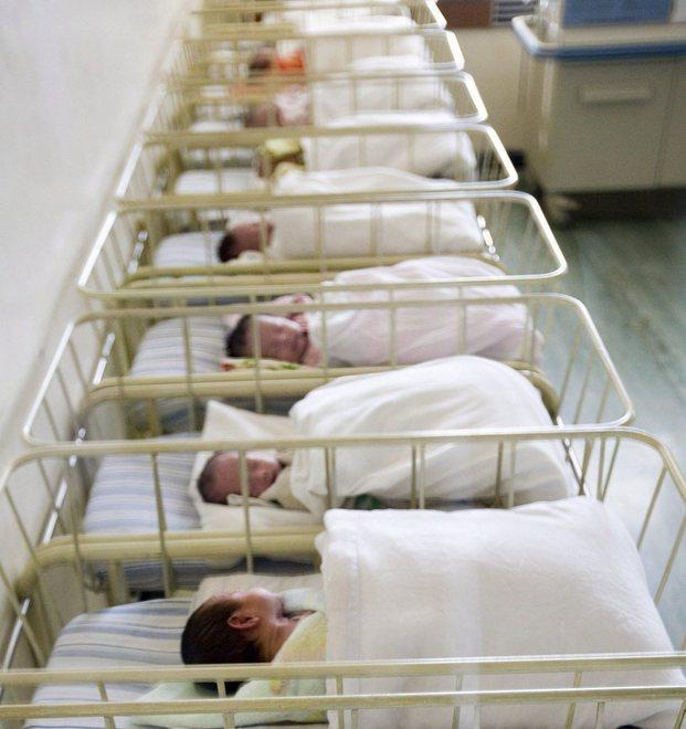 Il nido dell'ospedale di Tempio