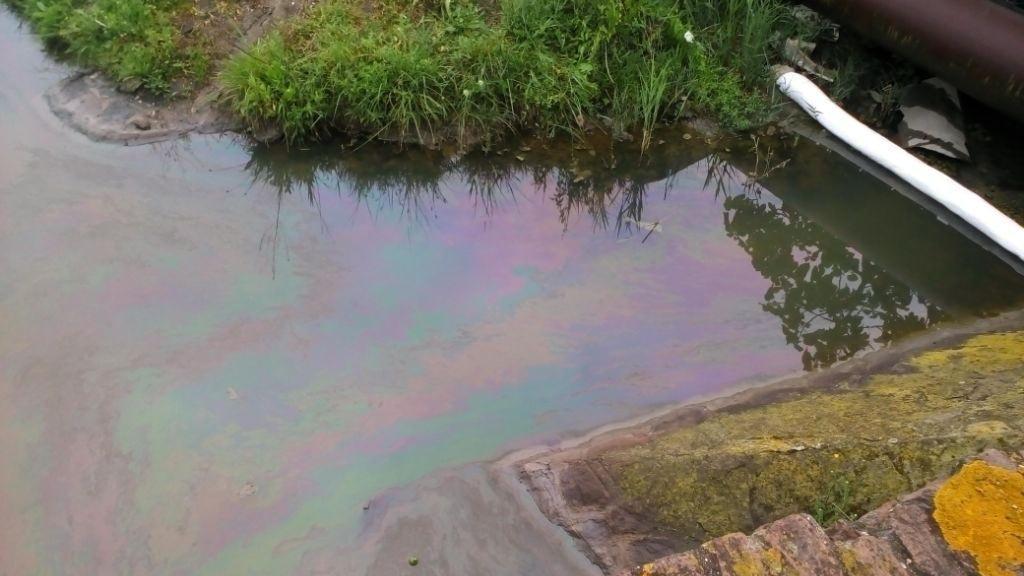 Scarichi illegali nel verde, sanzioni per 240mila euro