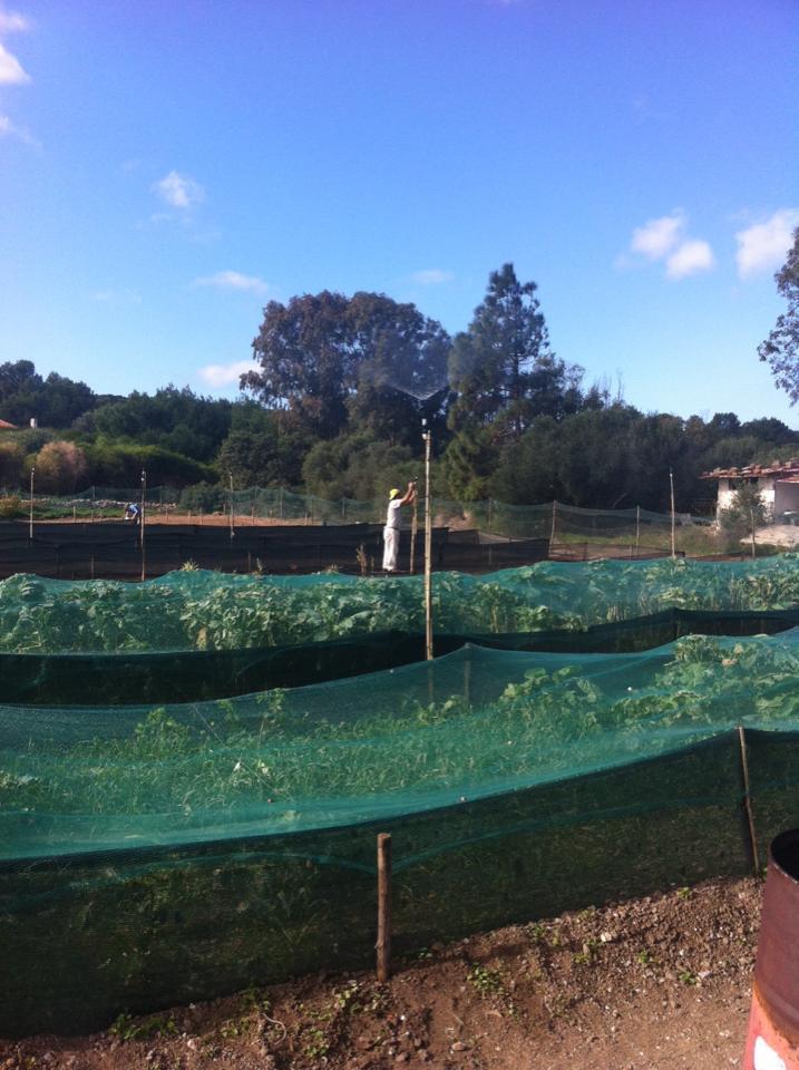 L'azienda di Vito Miolla a Carloforte