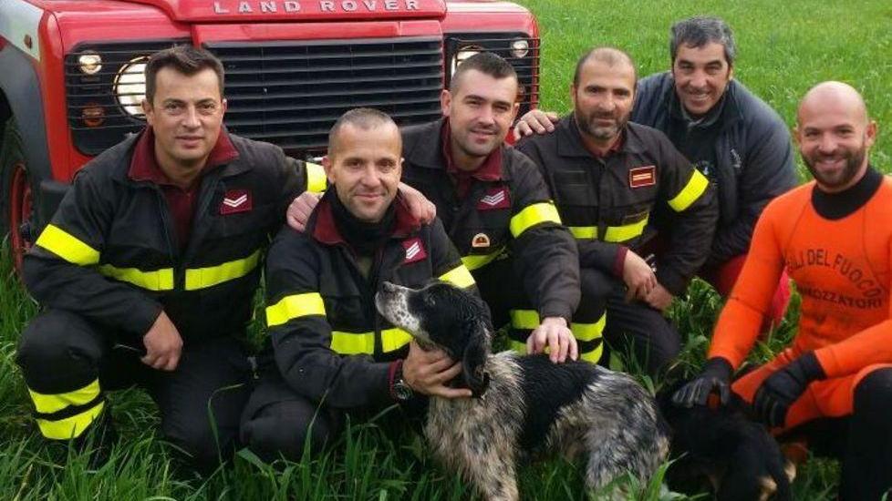 Cagnetto salvato dai vigili del fuoco