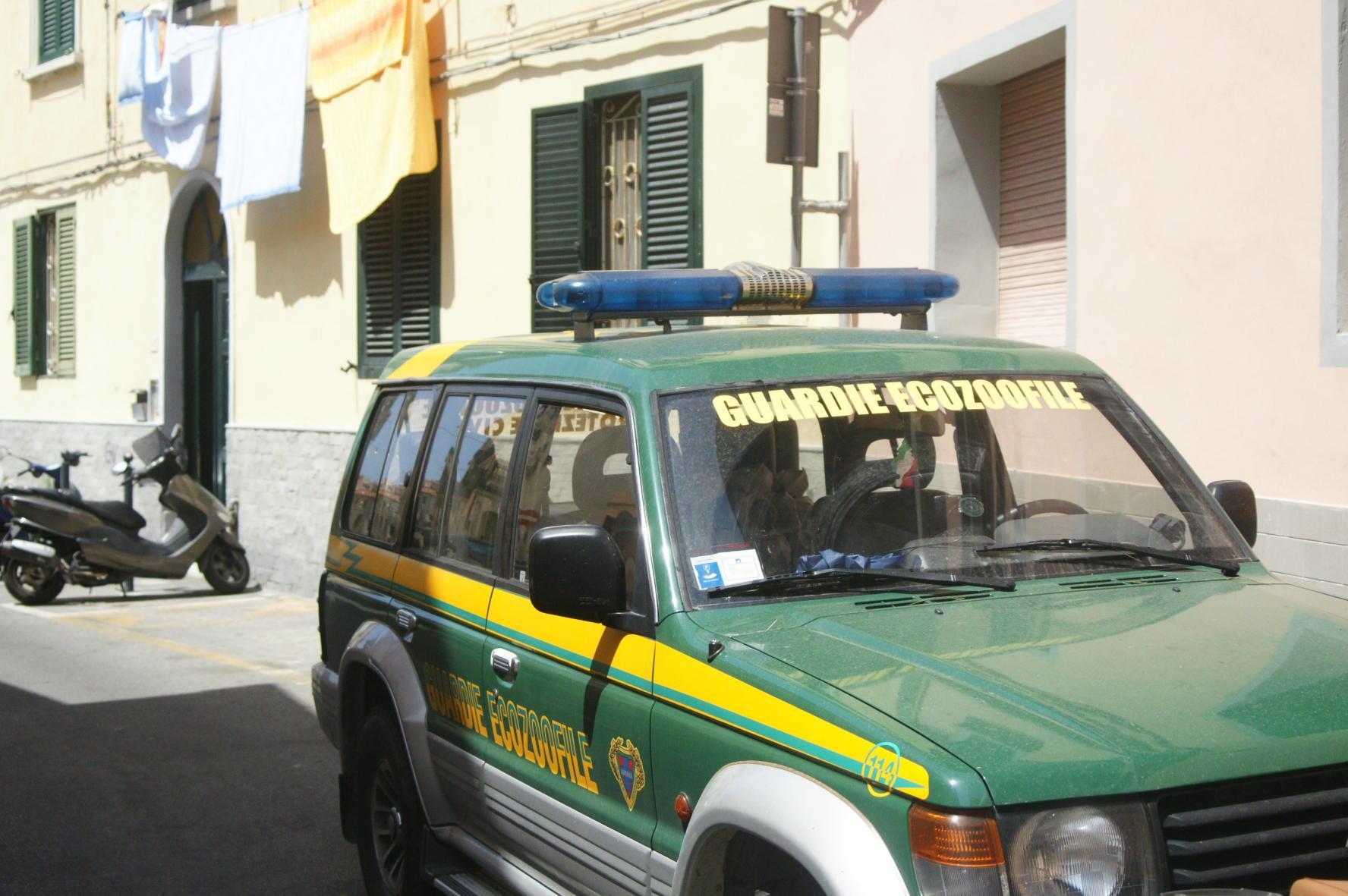 Occasioni di nuova occupazione, via al corso per aspiranti guardie ecozoofile
