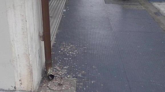 Guano sul marciapiede di via Battisti