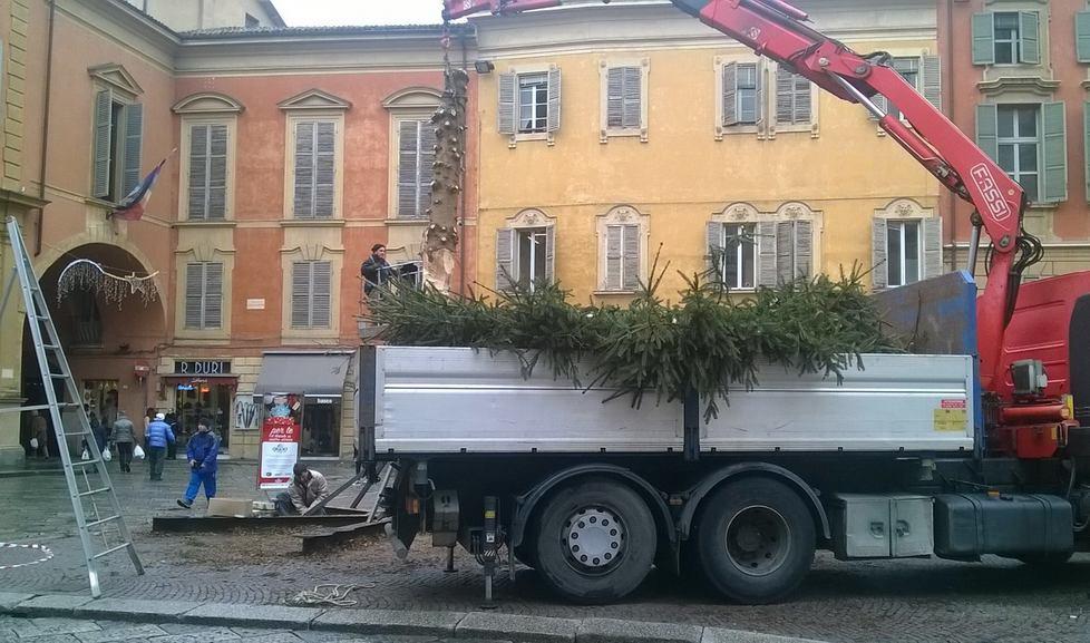 L’abete di Natale «giustiziato» prima dell’Epifania