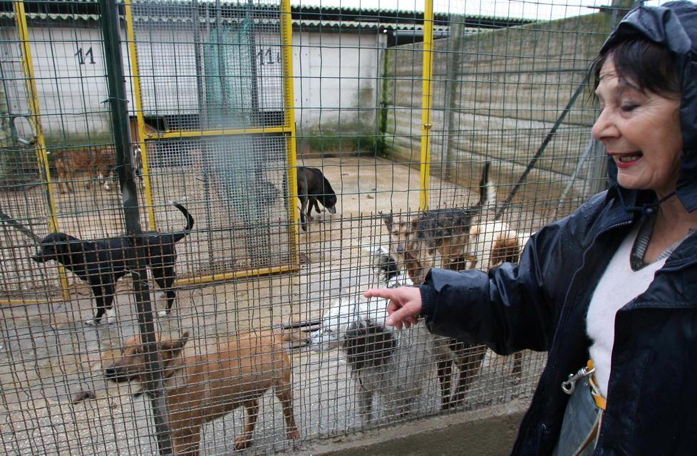 È morta Fiorella Degli Albizi, era l’anima del Rifugio Tom 