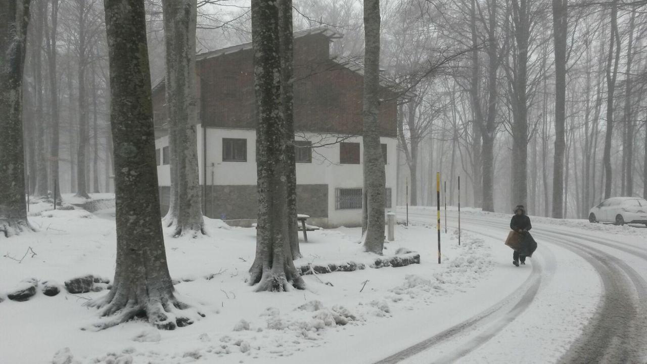 La prima neve del 2016 sull'Amiata