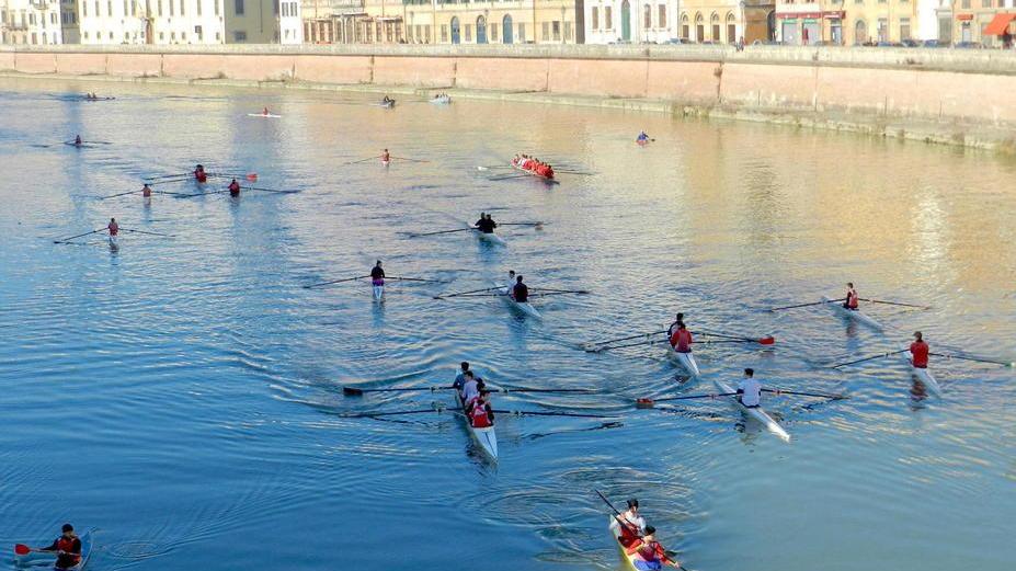 Coi pisani non mi ci tuffo, dé