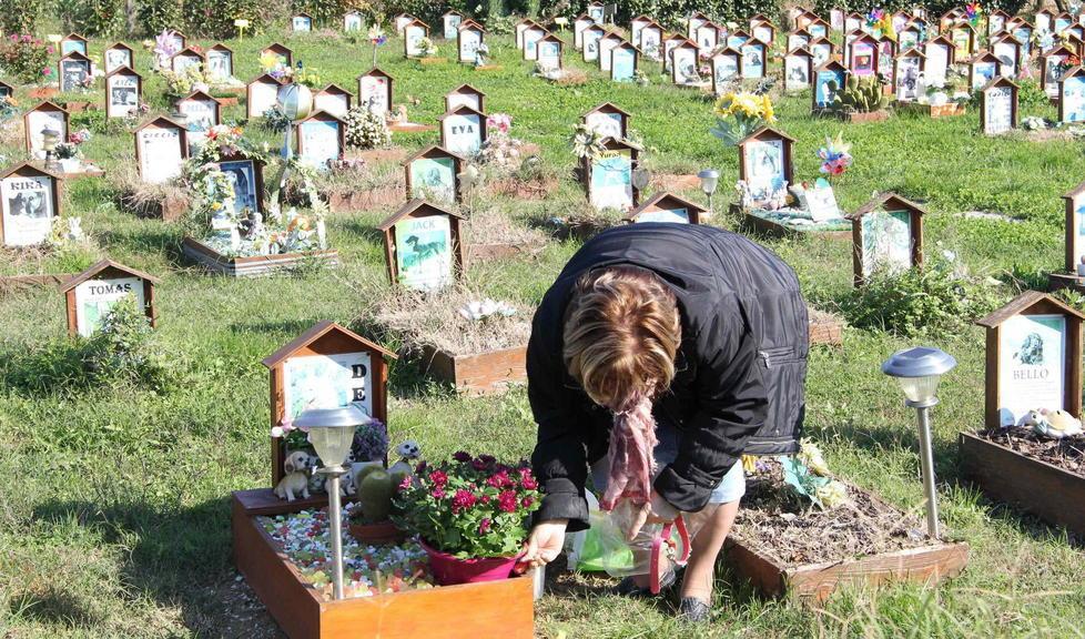 Cimitero per animali ed impianto per le cremazioni 