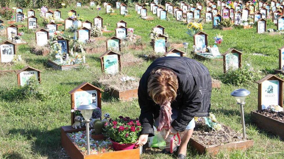 Cimitero per animali ed impianto per le cremazioni