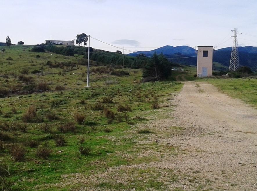 Siniscola, terreni agricoli alle coop giovanili 