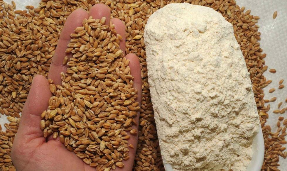 Agricoltura biodinamica, un corso 