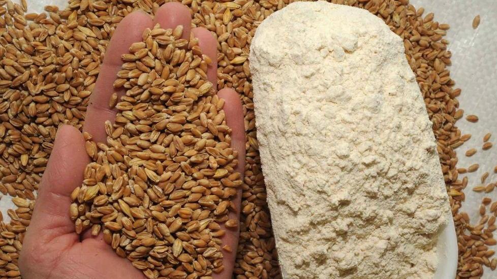 Agricoltura biodinamica, un corso