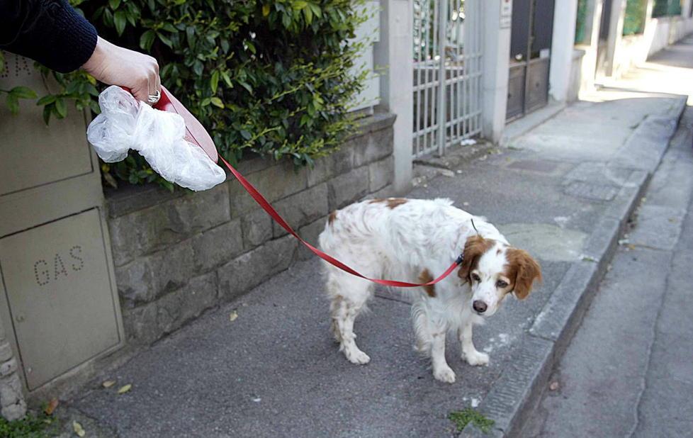 Duemila kit per i “bisogni” dei cani 