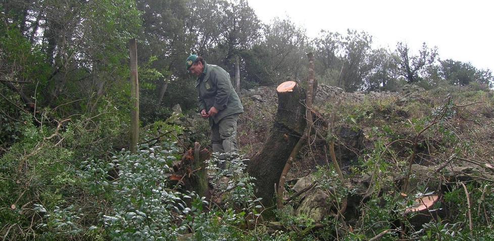 Paulilatino, barracelli impiegati in paese per la cura del verde 