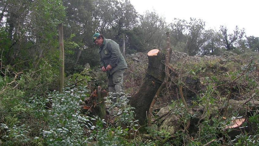 Paulilatino, barracelli impiegati in paese per la cura del verde