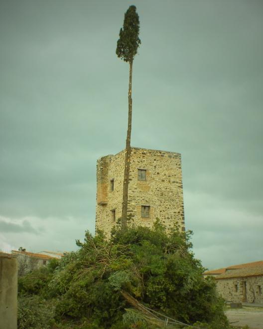 Fervono i preparativi in vista della festa di Sant’Antonio