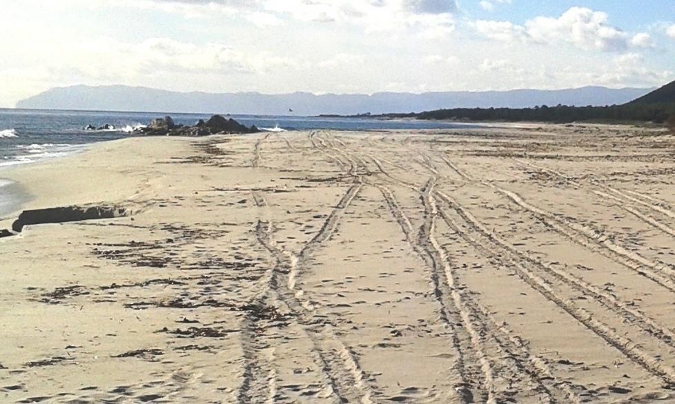 Motociclisti vandali a Berchida