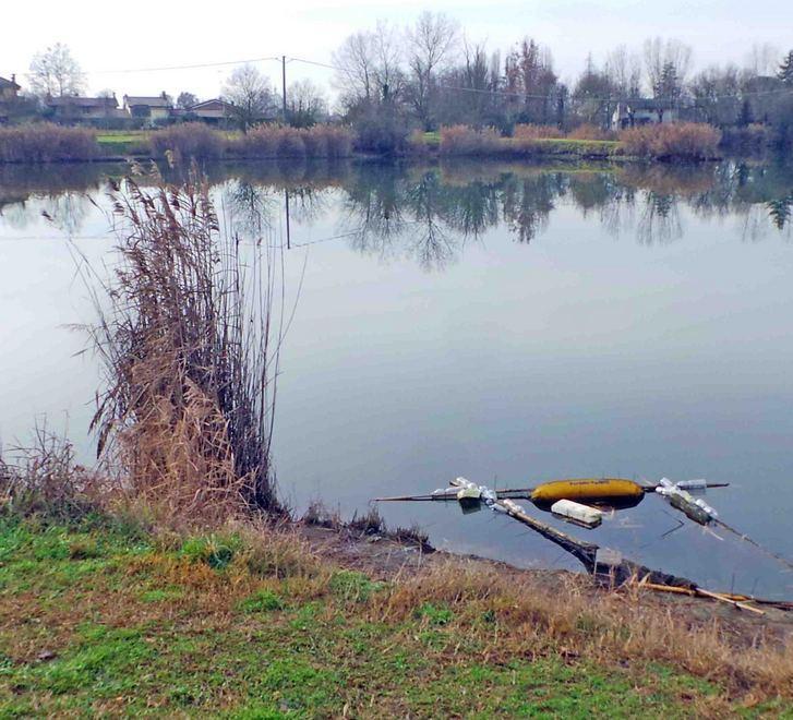 Rubato il pesce dal laghetto 