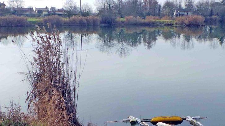 Rubato il pesce dal laghetto
