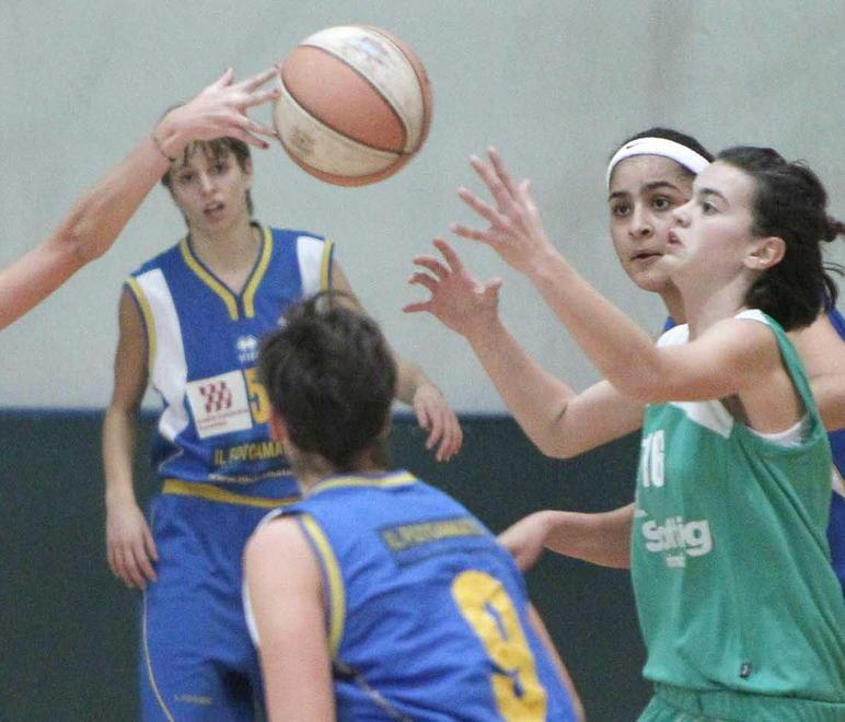 Basket, Gmv Ghezzano cerca punti salvezza