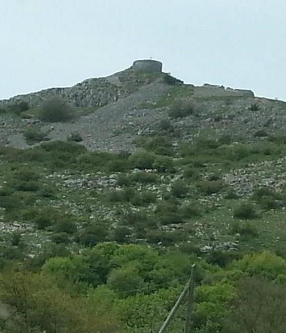 «Geotermia, minaccia alla biodiversità» 