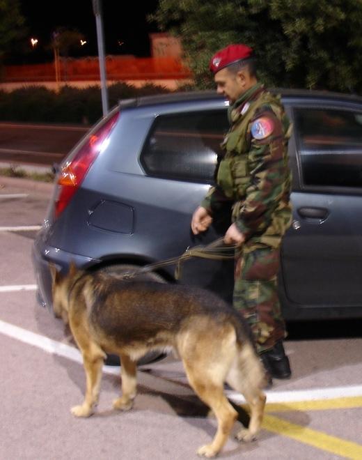 Senegalesi al setaccio, tutti in regola 