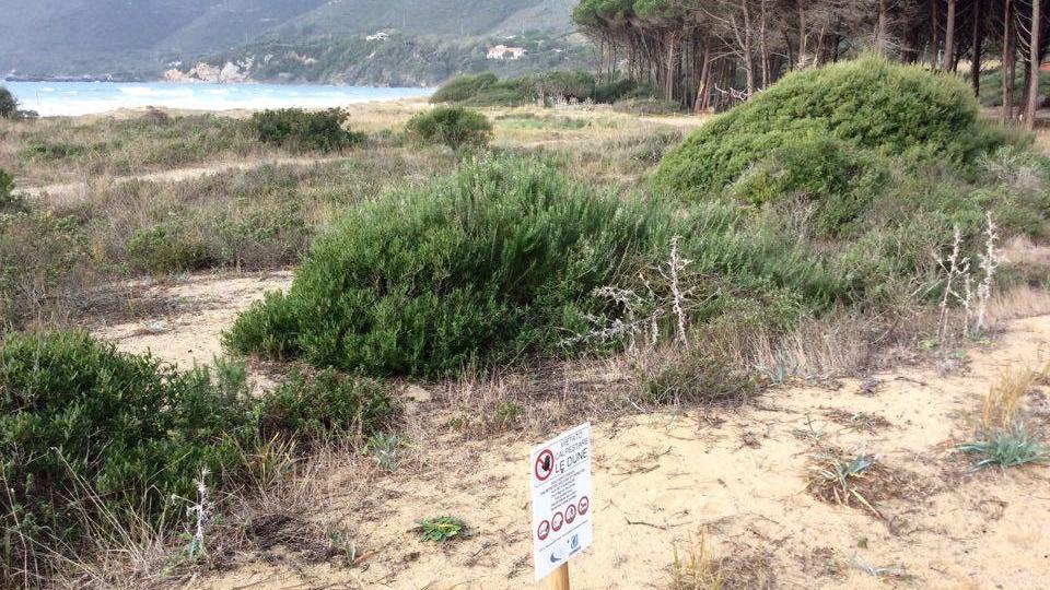 Le dune di Lacona (foto Gio' Di Stefano)
