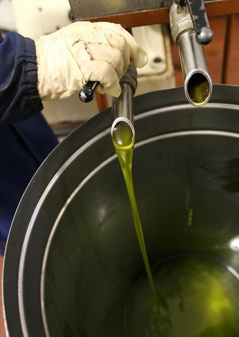 Si chiude il 13 gennaio la selezione dell’olio
