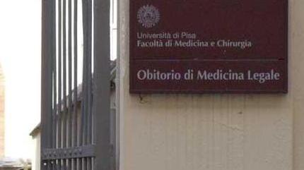 Laura e quella vita a ostacoli tra disoccupazione e malattie
