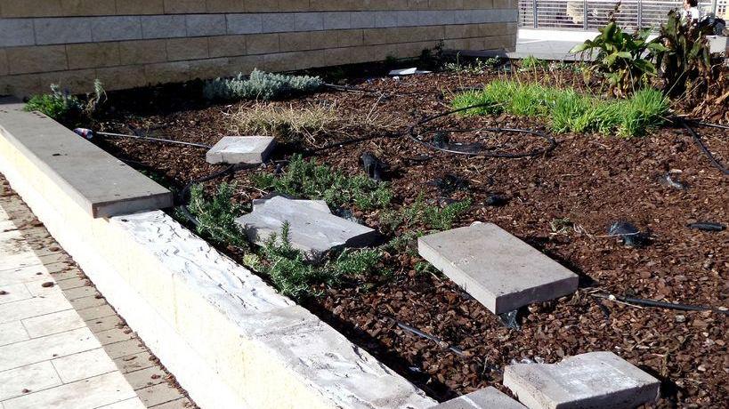 Piazza del mercato, finestra sulla città regno dei vandali