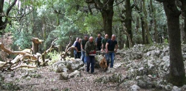 Taglio del legnatico, Orgosolo valorizza e tutela i suoi boschi 