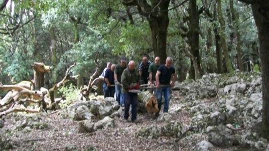 Taglio del legnatico, Orgosolo valorizza e tutela i suoi boschi