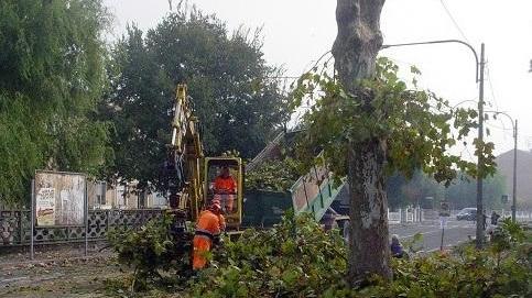 Via Sole, ripresa dei lavori dopo lo stop natalizio