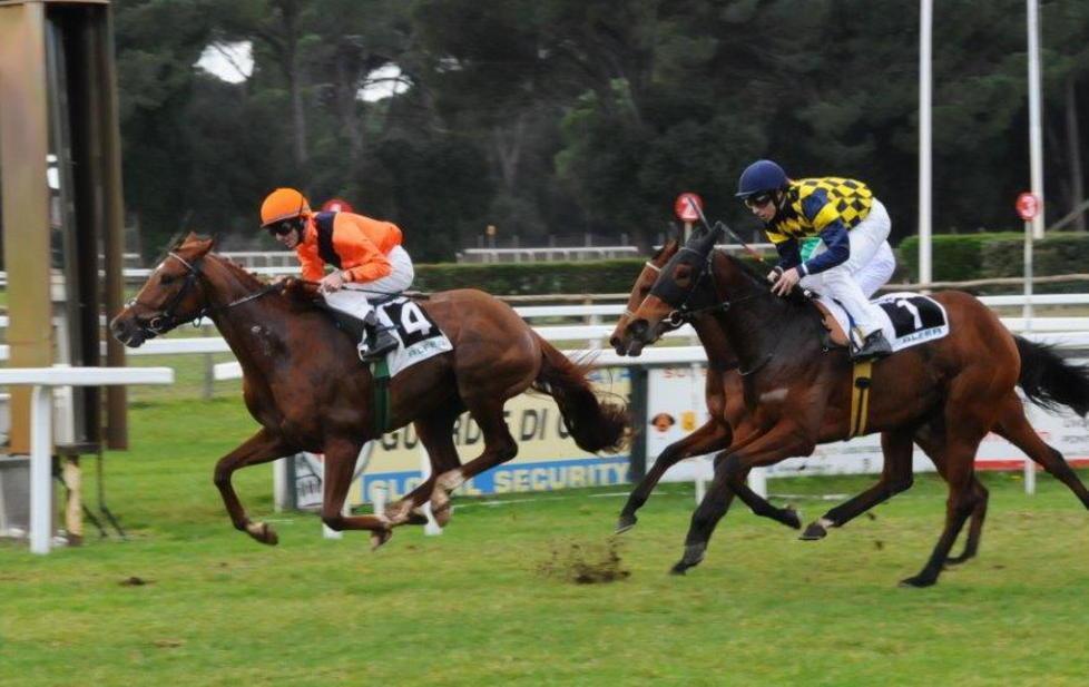 Grande allungo nel finale firmato da Barba Boy 